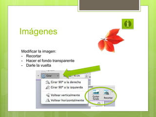 Imágenes
Modificar la imagen:
- Recortar
- Hacer el fondo transparente
- Darle la vuelta
 