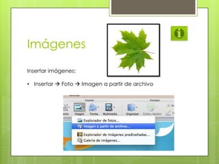 Imágenes
Insertar imágenes:
• Insertar  Foto  Imagen a partir de archivo
 