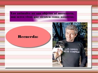 Los animales no son objetos ni mercancía,
son seres vivos que sienten como nosotros.
Recuerda:Recuerda:
 