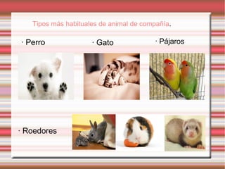 Tipos más habituales de animal de compañía.
· Perro · Gato
· Roedores
· Pájaros
 