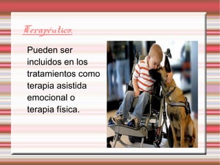 Pueden ser
incluidos en los
tratamientos como
terapia asistida
emocional o
terapia física.
Terapéutico.
 