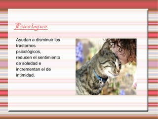 Psicológico.
Ayudan a disminuir los
trastornos
psicológicos,
reducen el sentimiento
de soledad e
incrementan el de
intimidad.
 