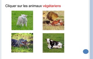 Cliquer sur les animaux végétariens
 