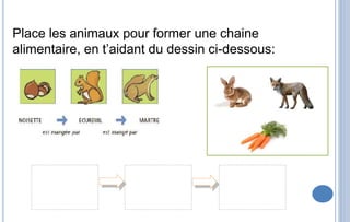 Place les animaux pour former une chaine
alimentaire, en t’aidant du dessin ci-dessous:
 