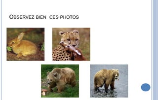 OBSERVEZ BIEN CES PHOTOS
 