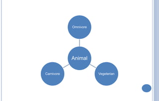 Animal
Omnivore
VegeterianCarnivore
 