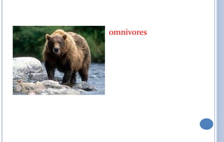 omnivores
 