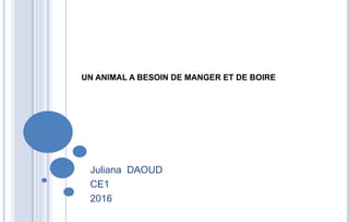 UN ANIMAL A BESOIN DE MANGER ET DE BOIRE
Juliana DAOUD
CE1
2016
 