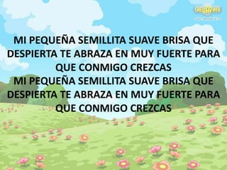 MI PEQUEÑA SEMILLITA SUAVE BRISA QUE 
DESPIERTA TE ABRAZA EN MUY FUERTE PARA 
QUE CONMIGO CREZCAS 
MI PEQUEÑA SEMILLITA SUAVE BRISA QUE 
DESPIERTA TE ABRAZA EN MUY FUERTE PARA 
QUE CONMIGO CREZCAS 
 