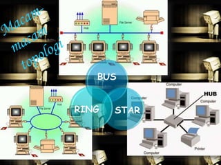 BUS 
RING STAR 
 