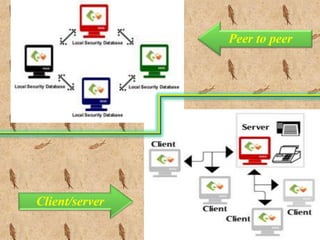 Peer to peer 
Client/server 
 