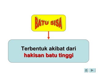 Terbentuk akibat dariTerbentuk akibat dari
hakisan batu tinggihakisan batu tinggi
 