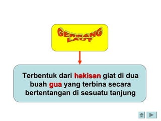 Terbentuk dariTerbentuk dari hakisanhakisan giat di duagiat di dua
buahbuah guagua yang terbina secarayang terbina secara
bertentangan di sesuatu tanjungbertentangan di sesuatu tanjung
 
