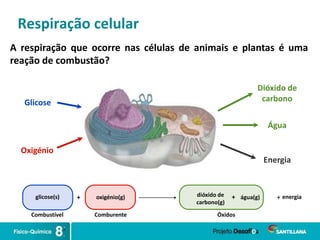 Respiração celular
A respiração que ocorre nas células de animais e plantas é uma
reação de combustão?
Glicose
Oxigénio
Dióxido de
carbono
Água
Energia
glicose(s) + oxigénio(g) dióxido de
carbono(g)
Combustível Comburente Óxidos
+ água(g) energia
+
 