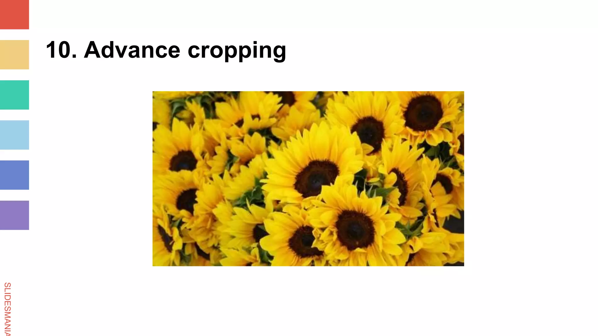 SLIDESMANIA
10. Advance cropping