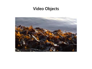 Video Objects
 