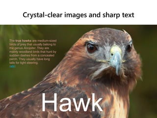 Crystal-clear images and sharp text
Hawk
The true hawks are medium-sized
birds of prey that usually belong to
the genus Accipiter. They are
mainly woodland birds that hunt by
sudden dashes from a concealed
perch. They usually have long
tails for tight steering.
(wiki)
 