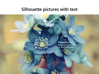 Silhouette pictures with text
Flowers and
wedding bouquets
by Studio Flowers
 