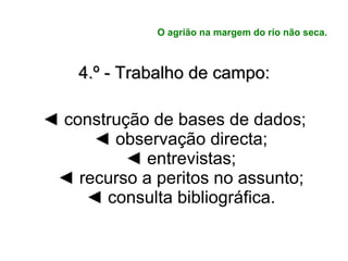 O agrião na margem do rio não seca. 4.º - Trabalho de campo: ◄  construção de bases de dados; ◄  observação directa; ◄  entrevistas; ◄  recurso a peritos no assunto; ◄  consulta bibliográfica. 