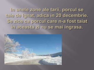 In unele zone ale tarii, porcul se taie de Ignat, adica in 20 decembrie. Se zice ca porcul care n-a fost taiat in aceasta zi nu se mai ingrasa. 