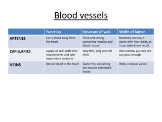 Bloodvessels