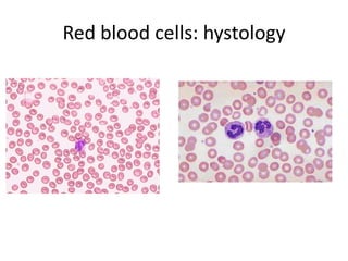 Red bloodcells: hystology