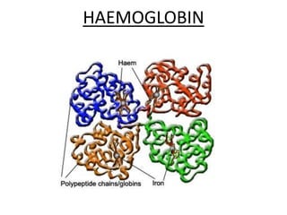 HAEMOGLOBIN
