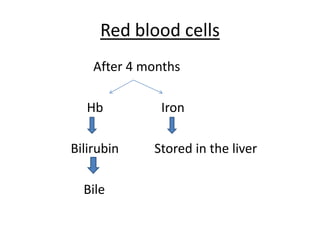 Red bloodcellsAfter 4 monthsHbIronBilirubinStored in theliverBile