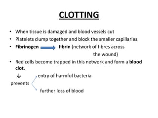 CLOTTINGWhentissueisdamaged and bloodvesselscutPlateletsclumptogether and block thesmallercapillaries.Fibrinogenfibrin(network of fibresacrossthewound)Red cellsbecometrapped in thisnetwork and form a bloodclot.↓              entry of harmful bacteriapreventsfurtherloss of blood