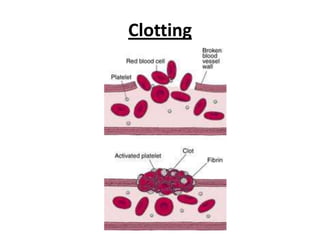 Clotting