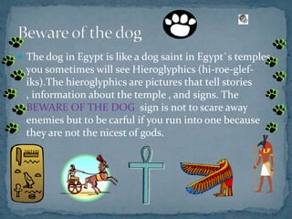 The dog in Egypt is like a dog saint in Egypt`s temples you sometimes will see Hieroglyphics (hi-roe-glef-iks).The hieroglyphics are pictures that tell stories , information about the temple , and signs. The BEWARE OF THE DOG  sign is not to scare away enemies but to be carful if you run into one because they are not the nicest of gods. Beware of the dog 