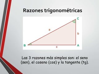 Razones trigonométricas
Las 3 razones más simples son: el seno
(sen), el coseno (cos) y la tangente (tg).