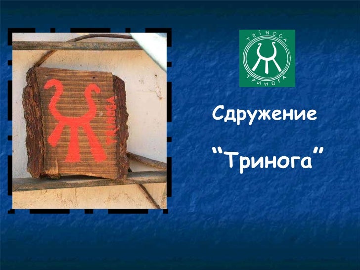 Trinoga - Тринога на български