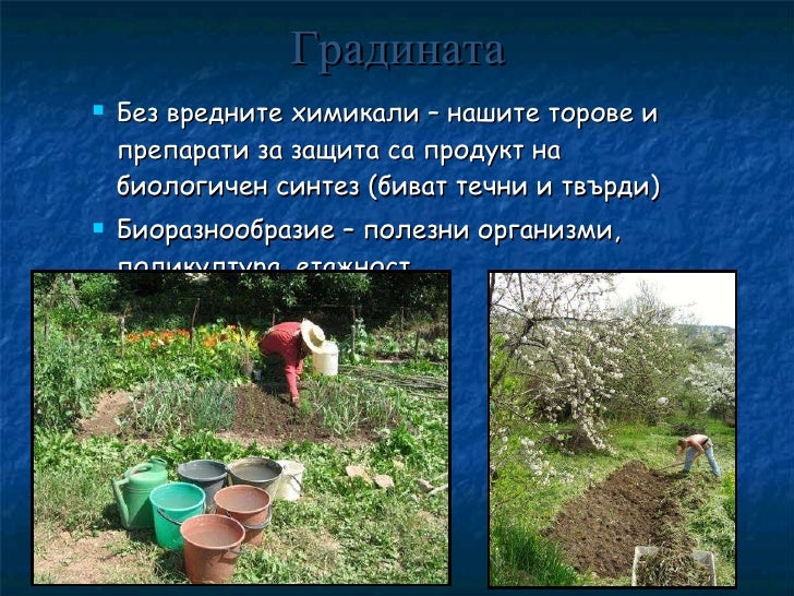 Trinoga - Тринога на български