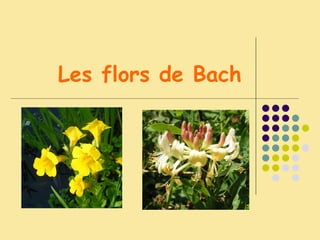 Les flors de Bach 