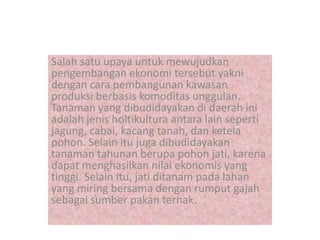Salah satu upaya untuk mewujudkan
pengembangan ekonomi tersebut yakni
dengan cara pembangunan kawasan
produksi berbasis komoditas unggulan.
Tanaman yang dibudidayakan di daerah ini
adalah jenis holtikultura antara lain seperti
jagung, cabai, kacang tanah, dan ketela
pohon. Selain itu juga dibudidayakan
tanaman tahunan berupa pohon jati, karena
dapat menghasilkan nilai ekonomis yang
tinggi. Selain itu, jati ditanam pada lahan
yang miring bersama dengan rumput gajah
sebagai sumber pakan ternak.
 