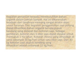 Kegiatan pertanian terpadu membutuhkan bahan
organik dalam jumlah banyak. Hal ini dikarenakan
keadaan dari tanahnya memang sangat miskin akan
unsur haranya. Dari kegiatan penggemukan sapi potong
dapat dihasilkan bahan organik berupa pupuk
kandang yang didapat dari kotoran sapi. Sebagai
gambaran, kotoran dari 5 ekor sapi dapat dipakai untuk
memupuk 1 Ha lahan. Kotoran (feses) yang dihasilkan di
sana sebanyak 30 kg/hari untuk satu ekor sapi. Dari 30
kg kotoran sapi, pupuk kandang yang
dihasilkan adalah sebanyak 15 kg/hari.
 