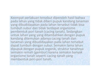 Keempat perlakuan tersebut diperoleh hasil bahwa
pada lahan yang tidak diberi pupuk kandang tanaman
yang dibudidayakan pada lahan tersebut tidak bisa
tumbuh subur dan tidak terdapat organisme
pembentuk pori tanah (cacing tanah). Sedangkan
untuk lahan yang yang ditambahkan dengan pupuk
kandang ditemukan adanya cacing tanah dan
tanaman yang dibudidayakan pada lahan tersebut
dapat tumbuh dengan subur. Semakin lama lahan
dipupuk dengan pupuk organik, struktur tanahnya
semakin remah (gembur) karena semakin banyak
organisme tanah seperti cacing tanah yang
membentuk pori-pori tanah.
 