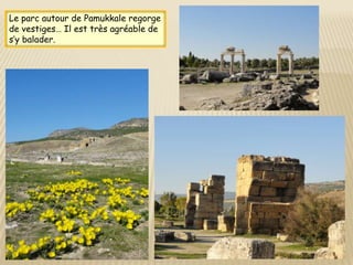 Le parc autour de Pamukkale regorge
de vestiges… Il est très agréable de
s’y balader.
 