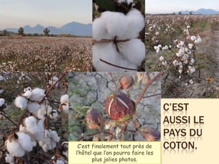 C’EST
                                    AUSSI LE
                                    PAYS DU
 C’est finalement tout près de      COTON.
l’hôtel que l’on pourra faire les
       plus jolies photos.
 