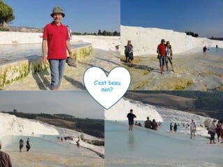 C’est beau
   non?
 