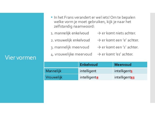 Uitleg bijvoeglijk naamwoord deel 1