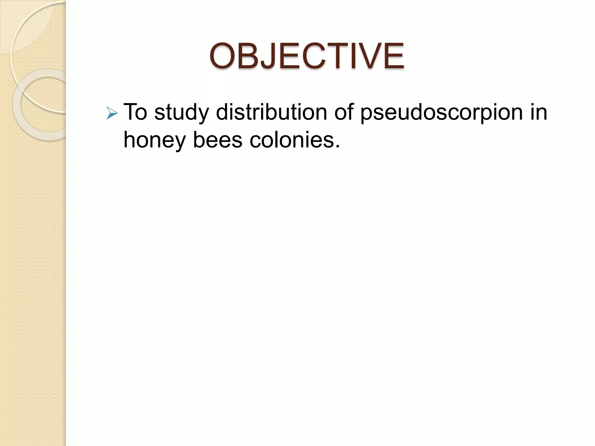 OBJECTIVE
 To study distribution of pseudoscorpion in
honey bees colonies.
 