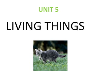 UNIT 5

LIVING THINGS

 
