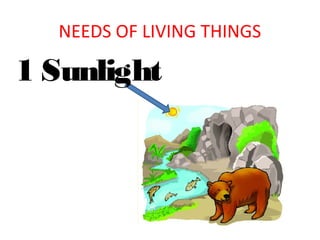 NEEDS OF LIVING THINGS

1 Sunlight

 