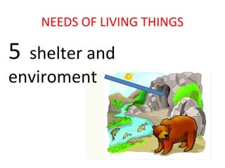 NEEDS OF LIVING THINGS

5

shelter and
enviroment

 