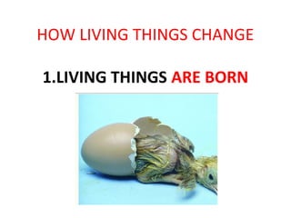 HOW LIVING THINGS CHANGE
1.LIVING THINGS ARE BORN

 