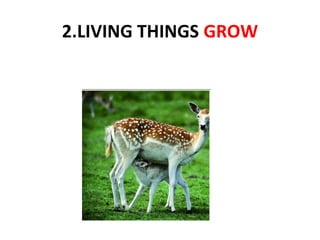 2.LIVING THINGS GROW

 