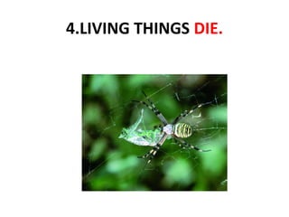 4.LIVING THINGS DIE.

 