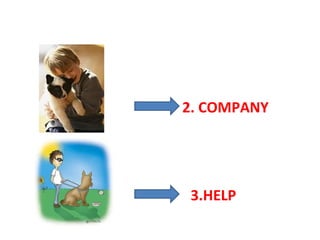 2. COMPANY

3.HELP

 